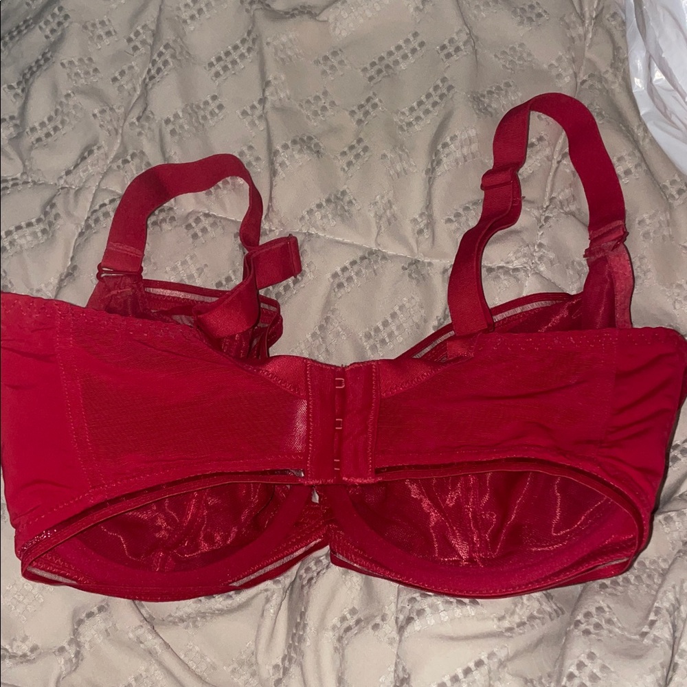 Red Lace Bra - Picture 2 of 3
